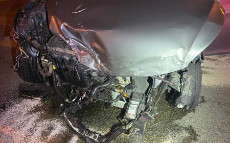 B.C. man who drove into ocean in livestream stunt charged with dangerous driving in New West crash
