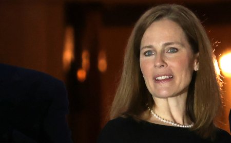 MIKE DAVIS: Dissecting the Supreme Court's 'birthright' betrayal