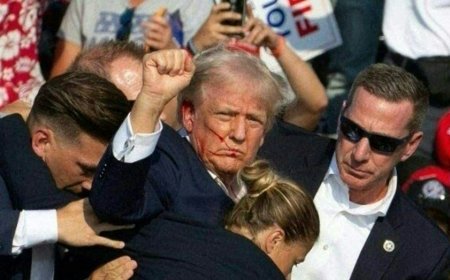 Secret Service missed 'multiple opportunities' to prevent Trump assassination attempt: watchdog