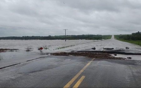 13 Sask. communities in states of emergency after storms drop 275 mm of rain over 10 days