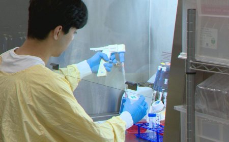 University of Calgary developing new immunotherapy cancer treatment