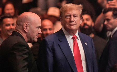 Dana White says Donald Trump wouldn't stop pushing to make the White House UFC event bigger