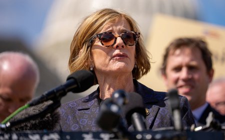 Vulnerable House Dem's bipartisanship push clashes with fantasy to ‘beat the s--- out of’ Hegseth