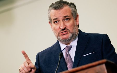 Cruz pushes bill to hold tax-exempt sponsors accountable as DOJ probes Singham network