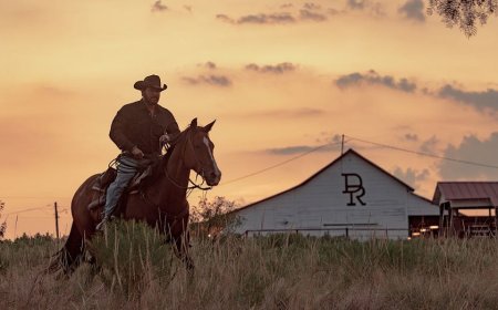 Cole Hauser says his family helped shape Montana as fans follow Taylor Sheridan from Treasure State to Texas