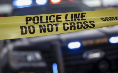Woman found dead in Quebec City forest was victim of homicide: police