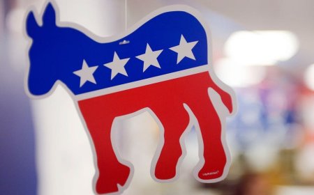 Democrats' 'pathetic groveling' for fundraising bashed in New York Times column