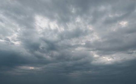 Tornado warning issued for Chatham-Kent – Rondeau Park