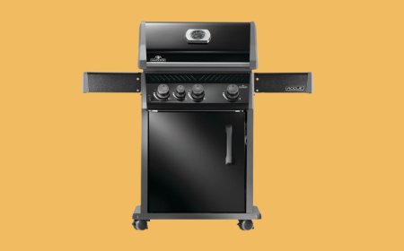 Best BBQs of 2026: Top grills for outdoor cooking