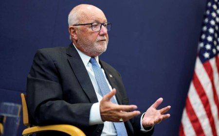 U.S. ambassador denies donations delayed Gordie Howe Bridge opening