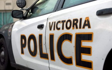 3 hurt, 2 arrested after confrontation near Victoria’s Beacon Hill Park