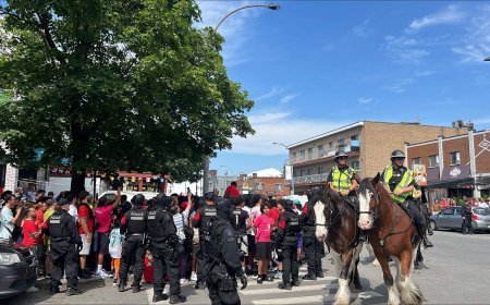 Moroccan communities celebrate historic World Cup win across Canada