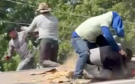 WATCH: Brawling Roofers Tumble Off Michigan House