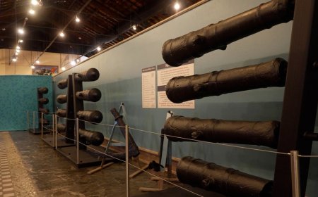 Revolutionary War cannons debut at Savannah History Museum for America 250
