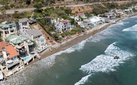 Homeowners terrorized by pro squatters turning dreams into nightmares in palm-lined paradise, experts say