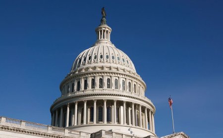 Washington rewards failure. It’s time to send career politicians home