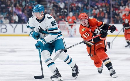 Oilers sign d-men Mukhamadullin, Stastney