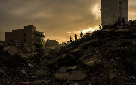 B.C. rescuers helped locate young survivor in Venezuela quake rubble
