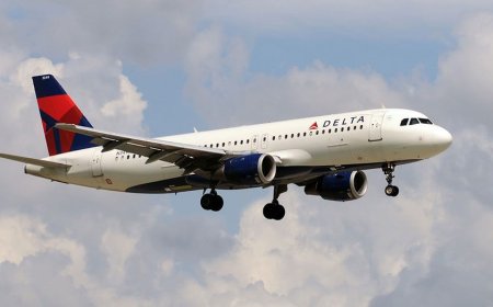 Delta flight struck by fireworks while landing in Chicago on Fourth of July, FAA investigates
