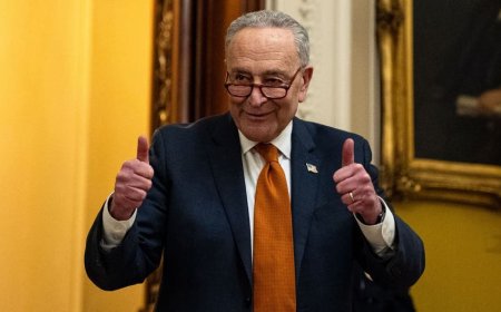 STEVE FORBES: Chuck Schumer has a beef with beef, but doesn’t even know how to grill it