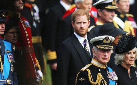 King Charles hopes to reunite with Prince Harry, but Queen Camilla is drawing one firm line: experts