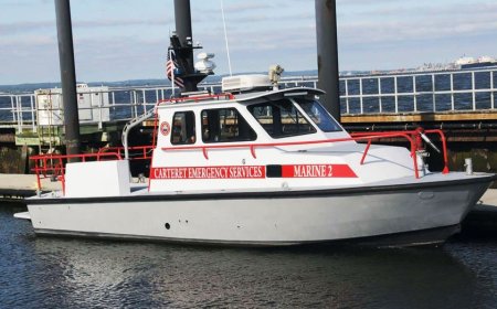 New York Harbor whale strike sinks fire rescue boat after July 4 celebrations