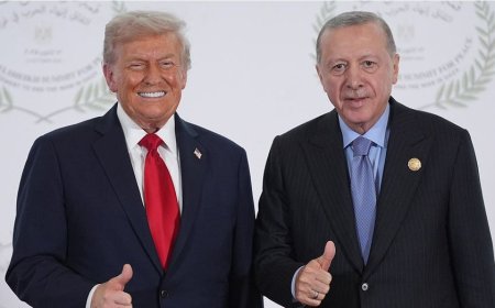 Trump bets on former NATO troublemaker as Turkey's strategic value surges