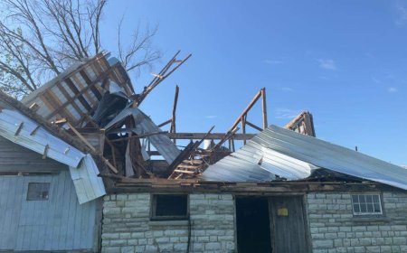 Flattened trees, damaged buildings caused by 2 tornadoes near Kingston: researchers