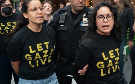 Socialist House hopeful under fire for pro-Palestinian July 4 message