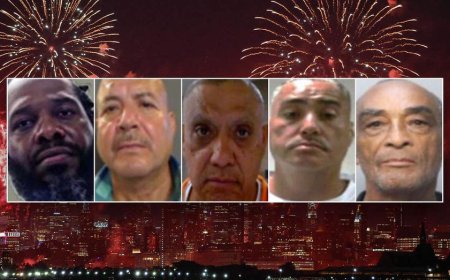 ICE makes nationwide arrests of illegal immigrants, murderers, pedophiles in holiday blitz