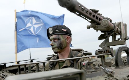 Trump pushed NATO to pay up. Now allies must turn pledges into power