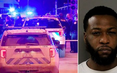 Chicago officers wounded in traffic stop shootout as holiday weekend leaves 3 dead, 16 injured