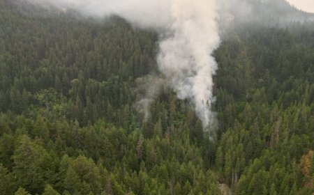 Explosive growth of Brunswick Creek fire triggers air quality warning