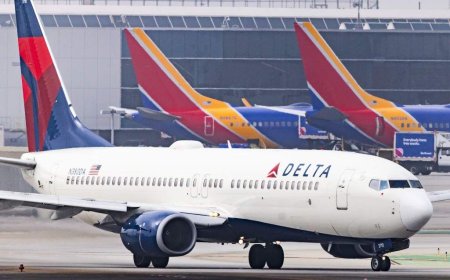 Delta plane hit by firework while landing in Chicago