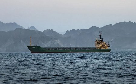 Ron Paul: Let’s Leave the Strait of Hormuz Alone