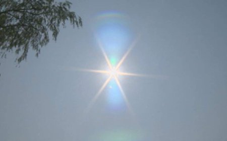 Vulnerable communities seek respite from Nova Scotia heat wave