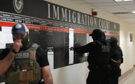 Pump Up Those Numbers: Immigration Arrests Are Starting To Head in the Right Direction—Finally