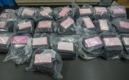$20M worth of cocaine seized by York police and CBSA, 6 arrested
