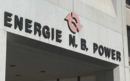 Push to stop New Brunswick’s Tantramar gas plant picks up momentum