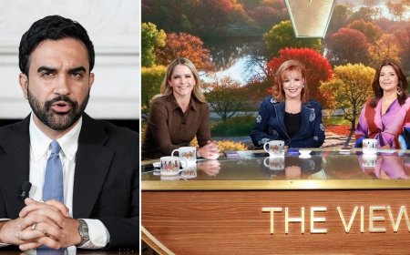 Mamdani aide unloaded on ABC executives after 'The View' host called socialist candidate an antisemite: report