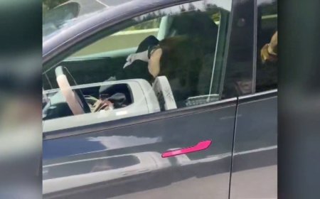 ‘Mind-blowing’: Video reportedly shows driver asleep in self-driving Tesla on B.C. highway