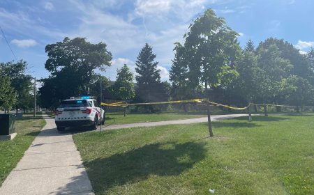2 dogs killed in Toronto-area shooting, police investigating