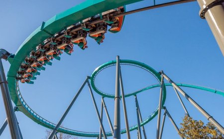 Terrifying scene unfolds at Six Flags as storm-toppled tree sends 4 guests to hospital