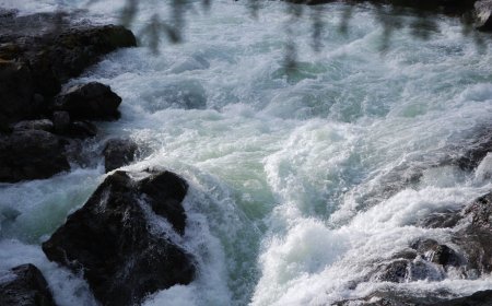 Swimmer still missing after being swept away by river in B.C. park