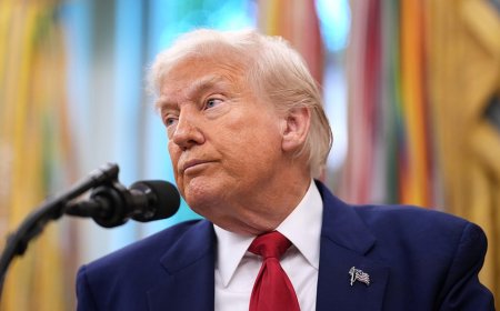 Legal war on Trump’s agenda gains firepower as federal lawyers defect to Democrats