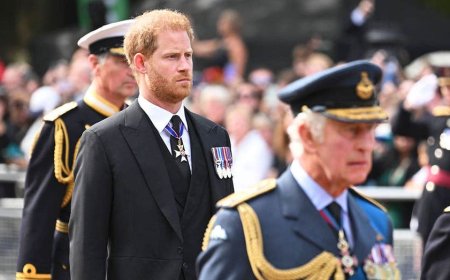 Palace aides 'don't trust' Prince Harry alone with King Charles, experts say