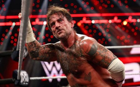 CM Punk wins Undisputed WWE Championship in WWE return