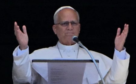 Pope Leo Welcomes Aliens Into Europe While Vatican Keeps Fortress-Like Borders