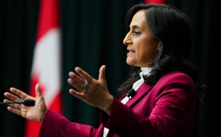 Canada wants more backers for global defence bank, Anand says