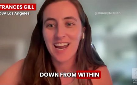 Meet The New Democratic Party: Socialists Say The Quiet Part Out Loud, Want To “Destroy America From Within”